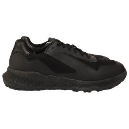 Sneakers Geox U3536A - Geox - Modalova