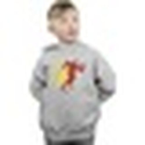 Felpe con cappuccio BI6385 - Dc Comics - Modalova