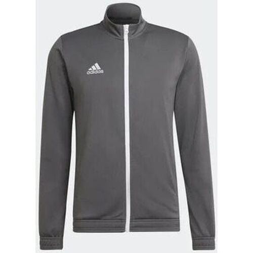 Felpa adidas TR Jacket - Adidas - Modalova