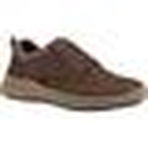 Sneakers Hush puppies Adam - Hush Puppies - Modalova