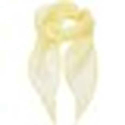 Sciarpa Premier Colours - Premier - Modalova