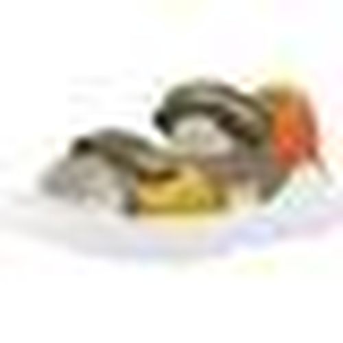 Sandali bassi Biomecanics 242272b - Biomecanics - Modalova