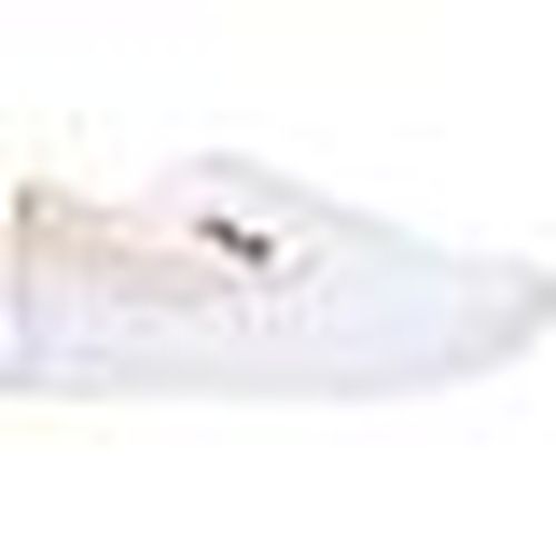 Scarpe Fila 1010308 13207 ORBIT - Fila - Modalova