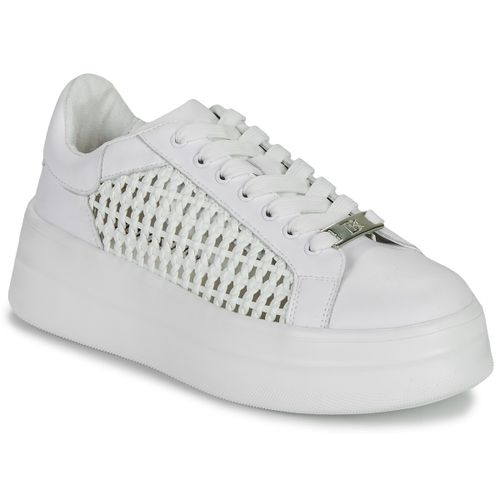 Sneakers basse Dorking SWIFT - Dorking - Modalova