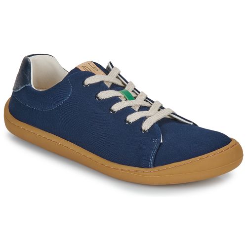 Sneakers basse ZAPHIRI - Dream in Green - Modalova
