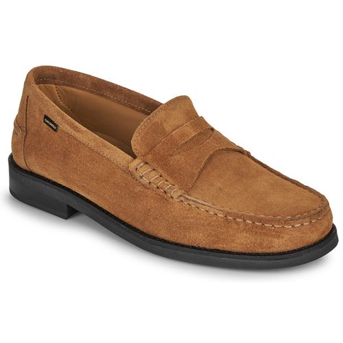 Scarpe Carlington WILL - Carlington - Modalova