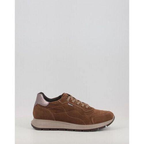 Sneakers IgI&CO DEMGT 66726 - IgI&CO - Modalova