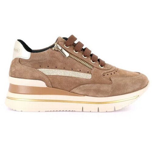 Sneakers sneakers donna Shaf in camoscio col. cuoio SC4325 - Grunland - Modalova