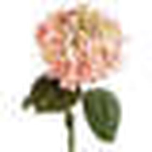 Piante artificiali Fiori Artificiali - L'oca Nera - Modalova