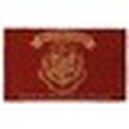 Tappeti Harry Potter NS4914 - Harry Potter - Modalova
