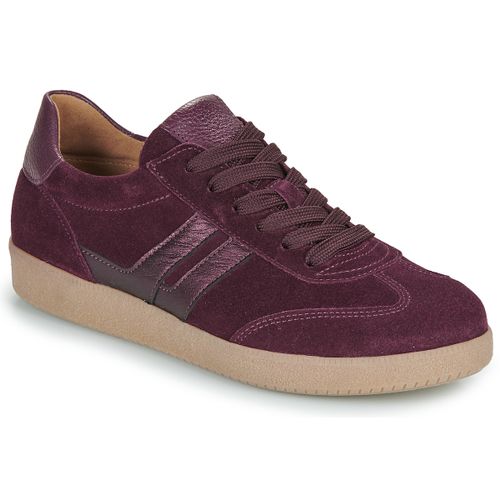 Sneakers basse Gabor 73300 - Gabor - Modalova