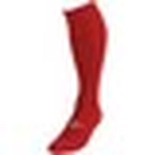 Collants e calze Precision Pro - Precision - Modalova