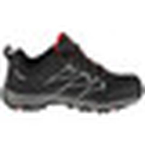 Scarpe da trekking Campus Norin - Campus - Modalova
