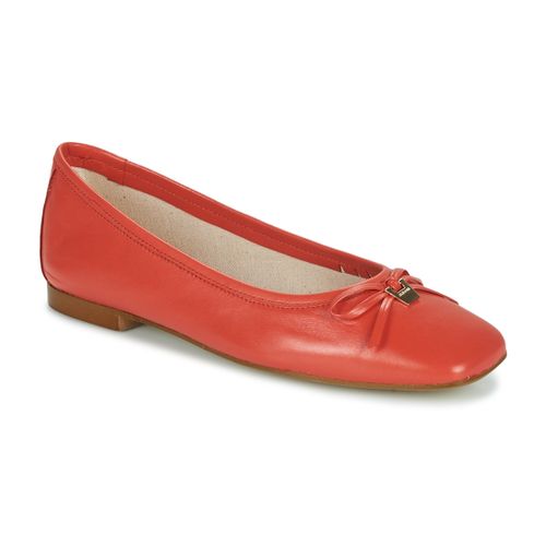 Ballerine JB Martin VIRTUOSE - JB Martin - Modalova
