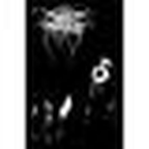 Poster Darkthrone RO5313 - Darkthrone - Modalova