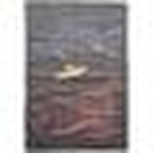 Poster Foo Fighters RO5180 - Foo Fighters - Modalova