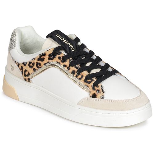 Sneakers basse Gioseppo MORRICE - Gioseppo - Modalova