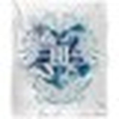 Coperta Harry Potter TV18469 - Harry Potter - Modalova