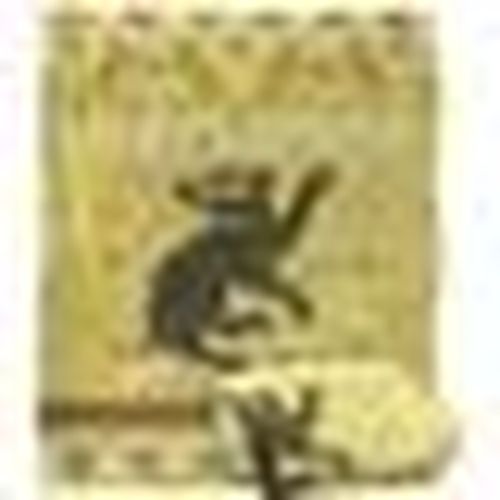 Coperta 127 cm x 60 m TV19083 - Harry Potter - Modalova