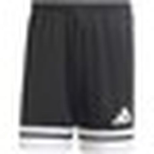 Pantaloni corti Squa25 Sho M - Adidas - Modalova
