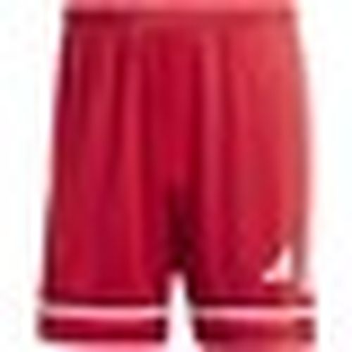 Pantaloni corti Squa25 Sho M - Adidas - Modalova