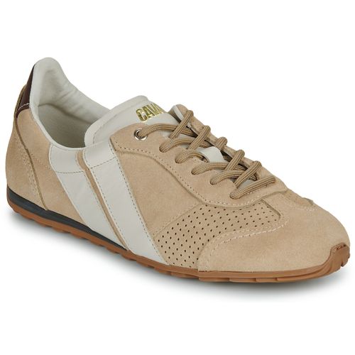 Sneakers basse BALLET POWER EARTH - Caval - Modalova