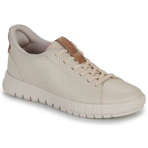Sneakers basse D FLEXTRIDE PLUS - Geox - Modalova
