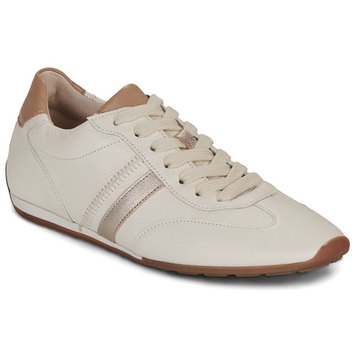 Sneakers basse Gabor CLAUDIE - Gabor - Modalova