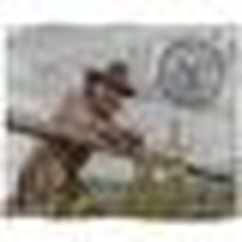 Plaid, coperte Yellowstone TV24052 - Yellowstone - Modalova