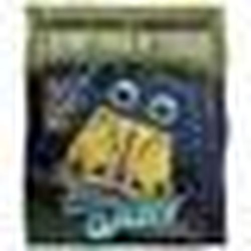 Plaid, coperte TV24070 - Spongebob Squarepants - Modalova