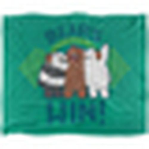 Plaid, coperte TV23617 - We Bare Bears - Modalova