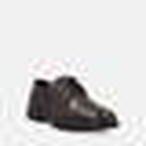 Scarpe Igi E Co SCARPA STRINGATA - Igi E Co - Modalova