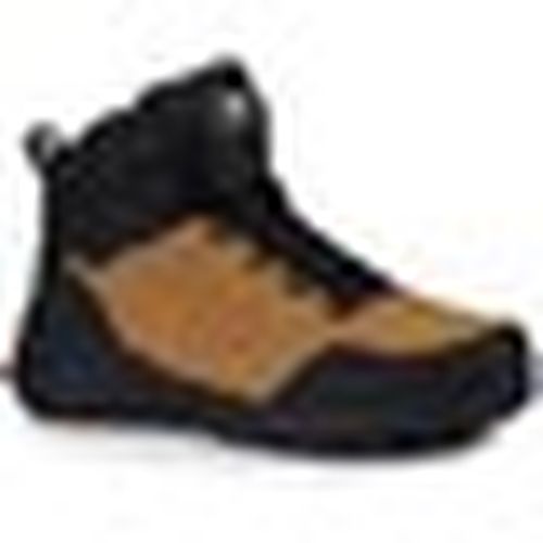Sneakers alte Dk VB17115CAMELBLACK - DK - Modalova