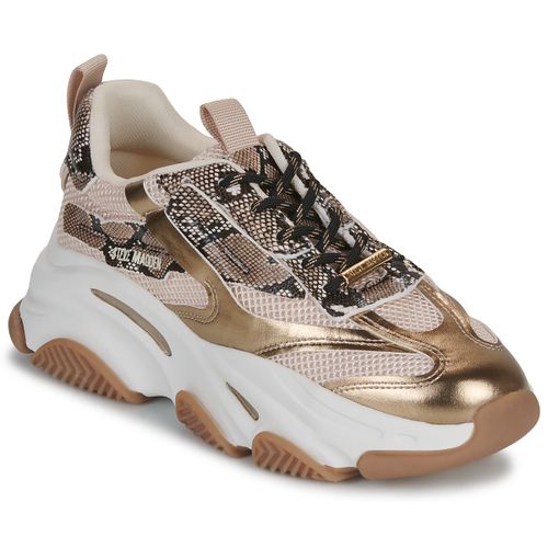 Sneakers basse POSSESSION - Steve Madden - Modalova
