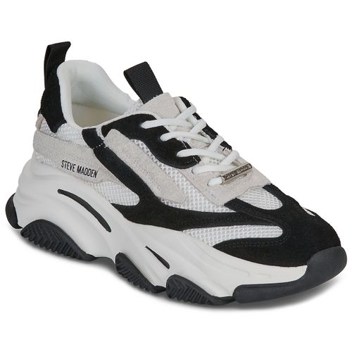 Sneakers basse POSSESSION - Steve Madden - Modalova