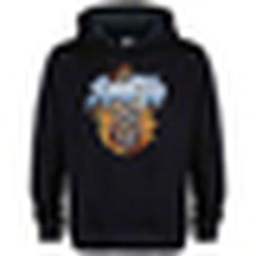 Felpe con cappuccio Skull And Flames - Amplified Clothing - Modalova