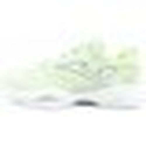 Sneakers basse Joma Master - Joma - Modalova