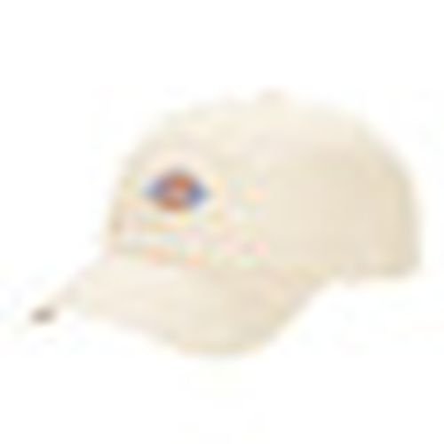 Cappellino HARDWICK WHITECAP GRAY - Dickies - Modalova
