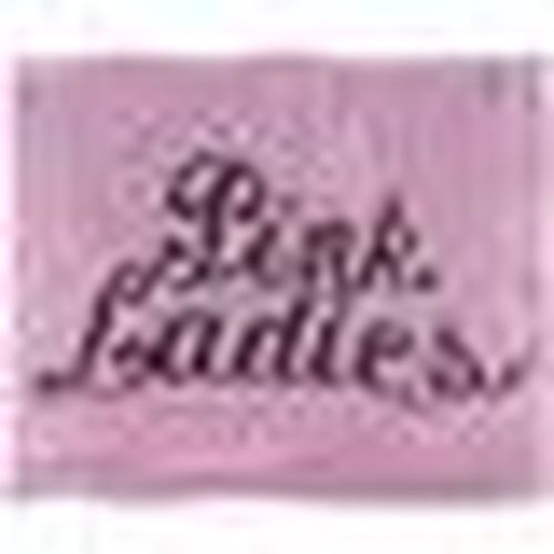 Plaid, coperte Grease TV26281 - Grease - Modalova