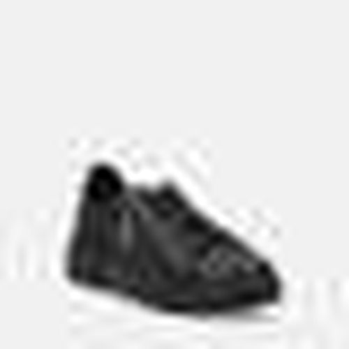 Sneakers basse SNEAKERS - U.S Polo Assn. - Modalova