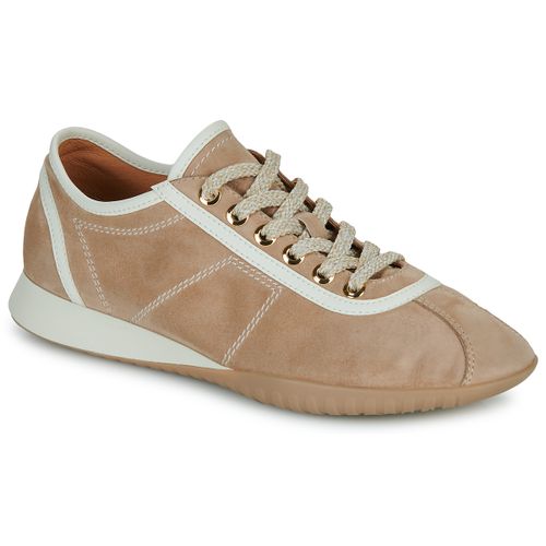 Sneakers basse Mam'Zelle DIXIT - Mam'Zelle - Modalova