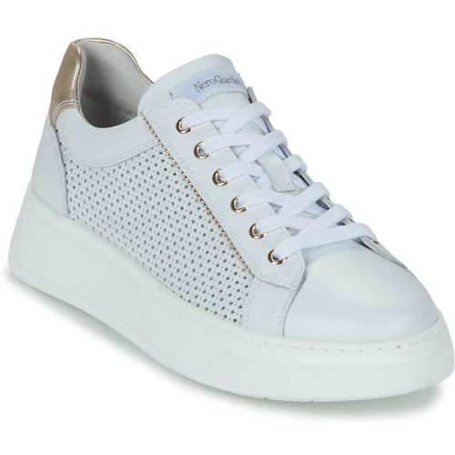 Sneakers basse E615274D-707 - NeroGiardini - Modalova
