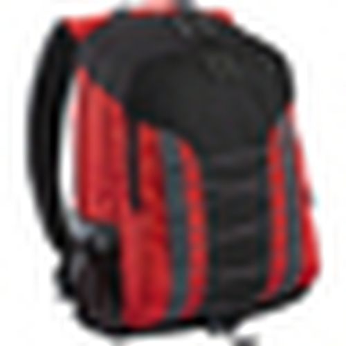 Zaini Shugon BC1147 - Shugon - Modalova