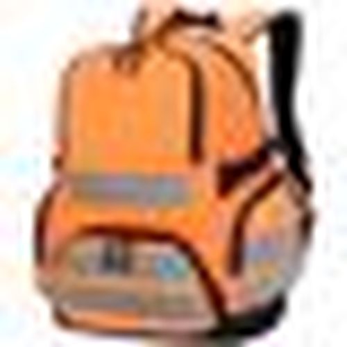 Zaini Shugon BC4161 - Shugon - Modalova