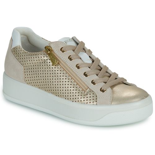 Sneakers basse IgI&CO D.AVA - IgI&CO - Modalova