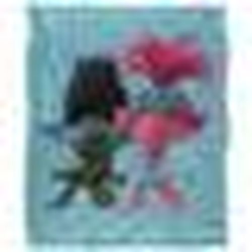 Plaid, coperte Trolls TV28673 - Trolls - Modalova