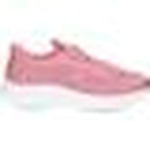 Sneakers basse John Smith RASHA - John Smith - Modalova