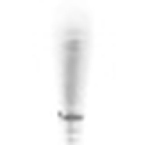 Collants e calze Precision Pro - Precision - Modalova