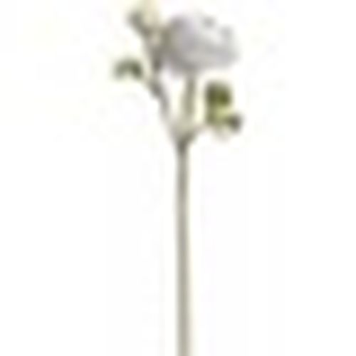 Piante artificiali HI2872 - Hill Interiors - Modalova