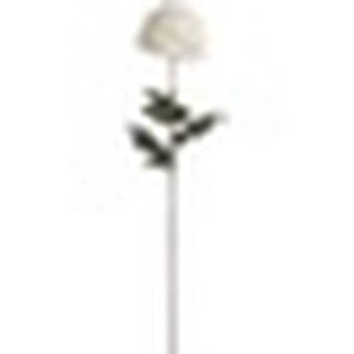 Piante artificiali HI2883 - Hill Interiors - Modalova